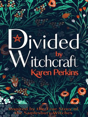 cover image of Divided by Witchcraft